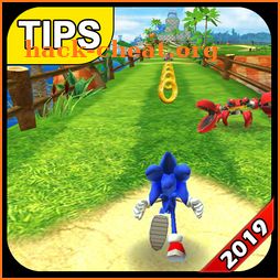 Guide For Sonic Dash 2019 icon