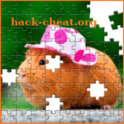 Guinea Pig Puzzle icon