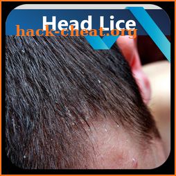 Head Lice icon