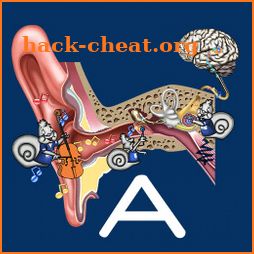 Hearing Anatomy icon