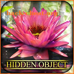 Hidden Object - State of Zen icon