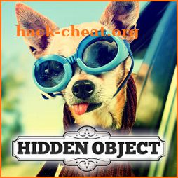 Hidden Object - Travelling Pets icon