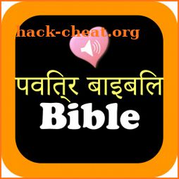 Hindi English Holy Bible Offline Audio Pro icon