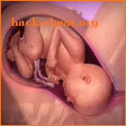 Home Childbirth Support icon
