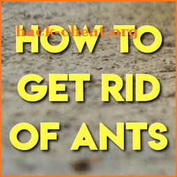 HOW TO GET RID OF ANTS icon