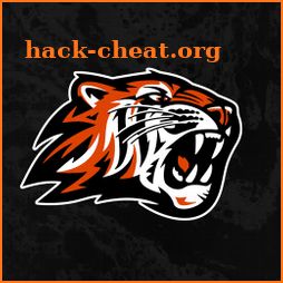 Howland Local Tigers, OH icon