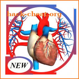 Human Anatomy 3D For Edication icon