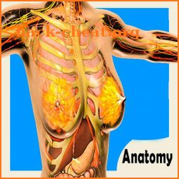 Human Anatomy: Inside Human Body Organs and Bones icon