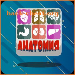 Human Anatomy Quiz icon