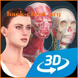 Human body (female) educational VR 3D icon