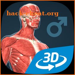 Human body (male) educational VR 3D icon
