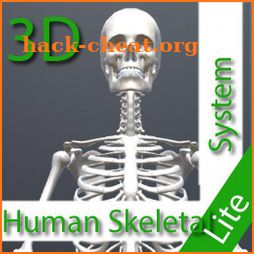 Human Skeletal System 3D icon