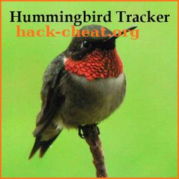 Hummingbird Tracker icon