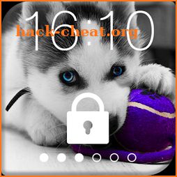 Husky Puppy HD Free PIN Lock icon