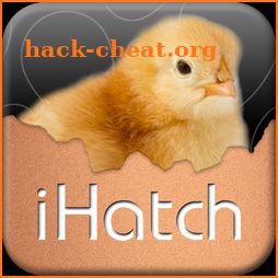 iHatch-Chickens icon