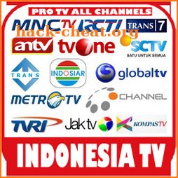 indonesia tv live icon