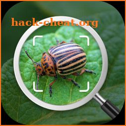 Insect identification: Bug identifier - Bug finder icon