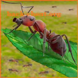 Insect Simulator Games - Queen Ant Simulator 2021 icon