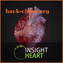 INSIGHT HEART icon
