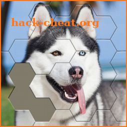 Jigsaw Hexa Block icon