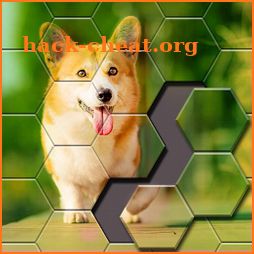 Jigsaw Puzzle - Hexa Block Puzzle icon