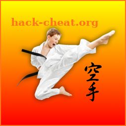 Karate Fight Champ 2018 Pro icon