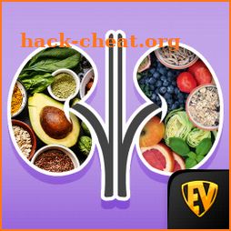 Kidney Renal Diet Recipes Plan icon