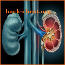 Kidney Stones Home Remedies icon