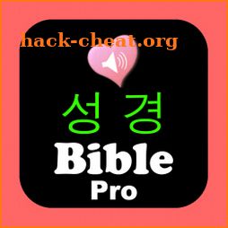 Korean English Audio Bible Pro icon