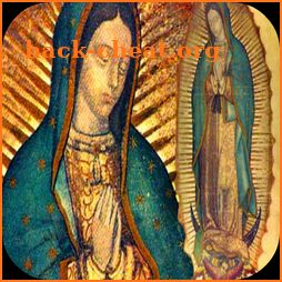 La Guadalupana - Virgen de Guadalupe icon