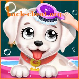 Labrador Puppy Daycare Salon icon