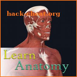 Learn Anatomy icon