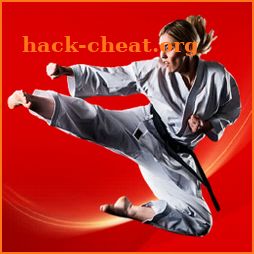 Learn Karate - Video Training Technical Classes icon