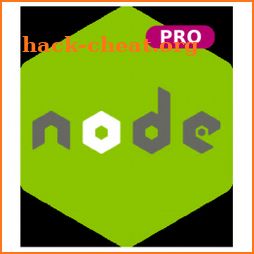 Learn Node.js Programming PRO - Node Js Tutorials icon