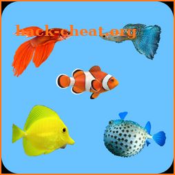 Learning Name Of Fishes - practice, test, sound icon