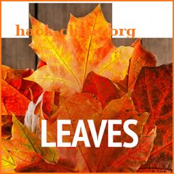 Leaves wallpapers icon