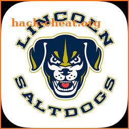Lincoln Saltdogs icon