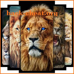 Lion Wallpaper 🦁 icon