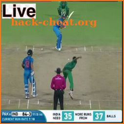 Live Cricket Score Stream icon