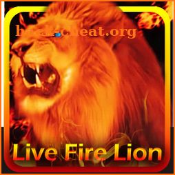 Live Fire Lion Keyboard Theme icon