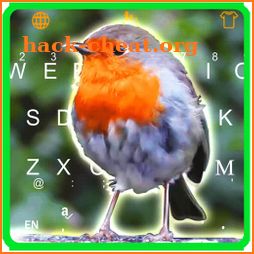 Live Lovely Bird Keyboard Theme icon
