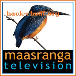 maasranga television icon