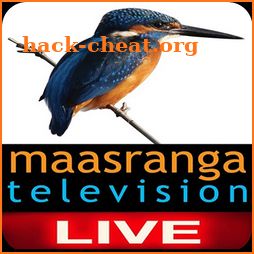 Maasranga Tv Live icon