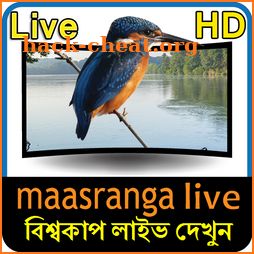 Maasranga TV Live HD icon
