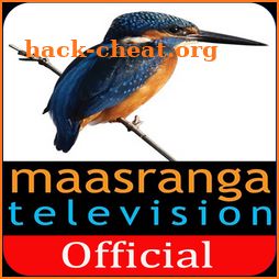Maasranga TV Official icon