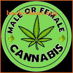 Male or Female cannabis? icon