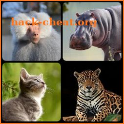 Mammals – Learn All Animals in Foto-Quiz! icon
