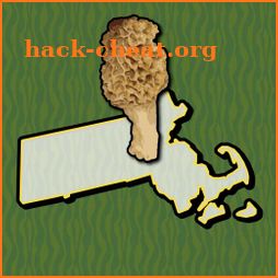 Massachusetts Mushroom Forager icon