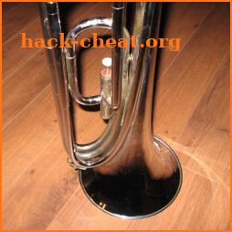 MB Horn for Caustic icon