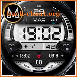 MD244 LCD: Digital watch face icon